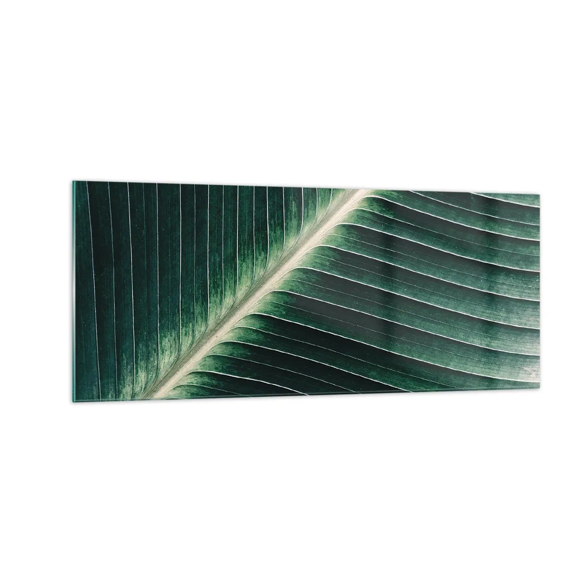 Billede på glas - Naturens rytme - 100x40 cm