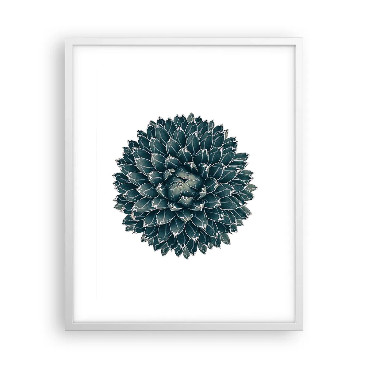 Plakat i hvid ramme - Ørkenstjerne - 40x50 cm