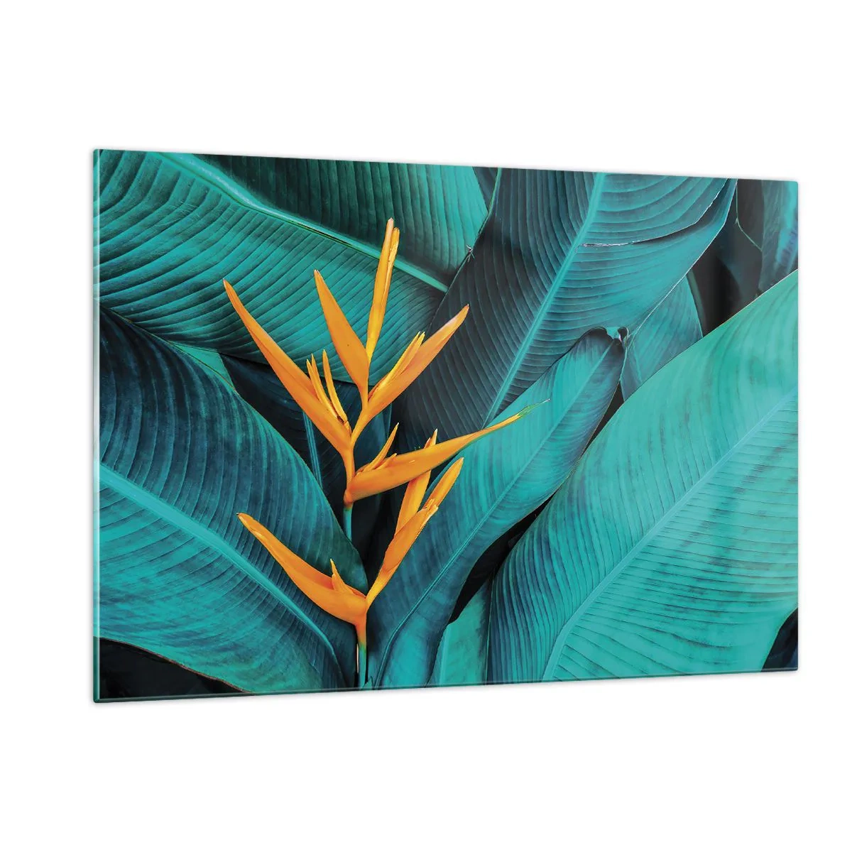 Billede på glas - Edens blomst - 120x80 cm