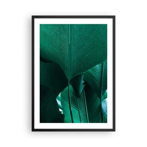Plakat i sort ramme - Nærbillede af store grønne blade, der viser struktur og tekstur. - 50x70cm - Mod lyset - Moderne vægdekoration til stue og soveværelse ARTTOR