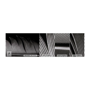 Prøve Fototapet Premium Canvas - Fjer - en vidunderlig konstruktion - Pen, Minimalisme, Lethed - 100x30 cm