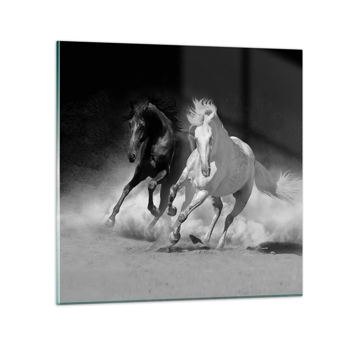 Billede på glas - Frihedens galop - 40x40 cm