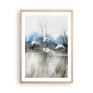 Plakat i ramme af lyst egetræ - Som i en fortælling om vilde svaner - 50x70 cm