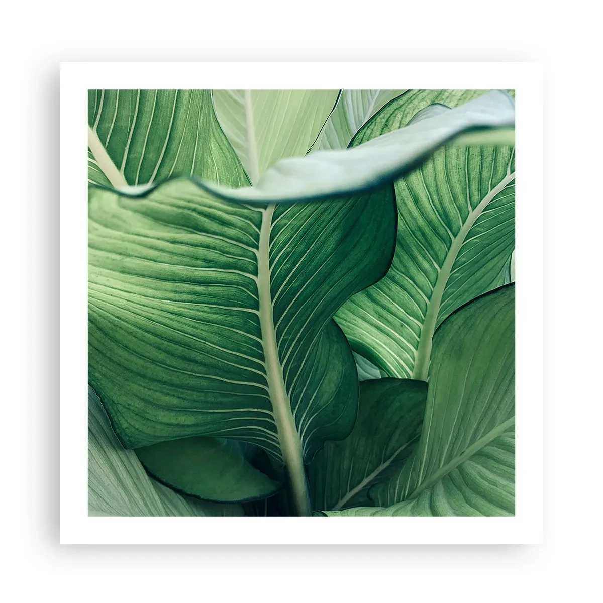 Plakat - Livet er intenst grønt - 60x60 cm