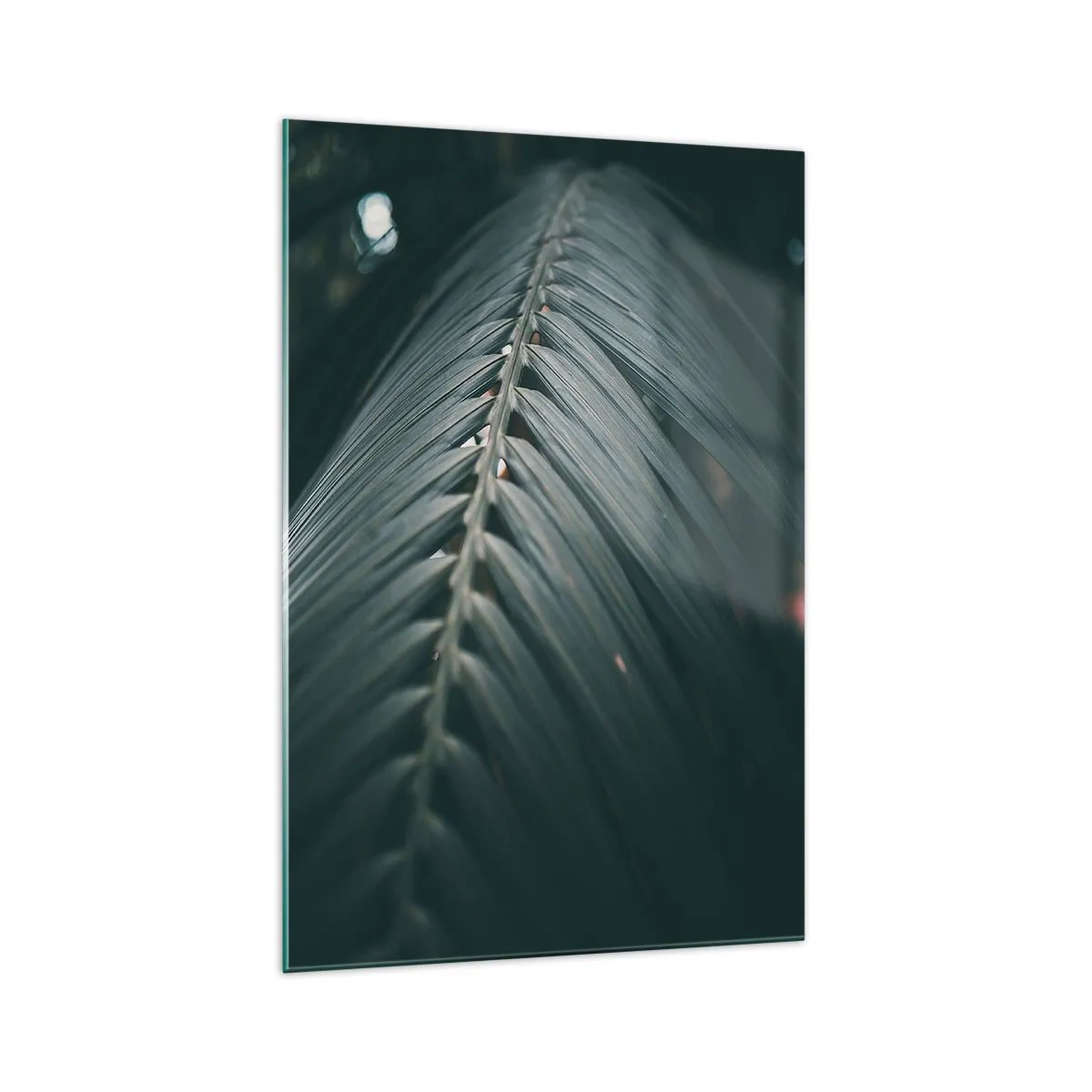 Billede på glas - Naturens præcision - 70x100 cm