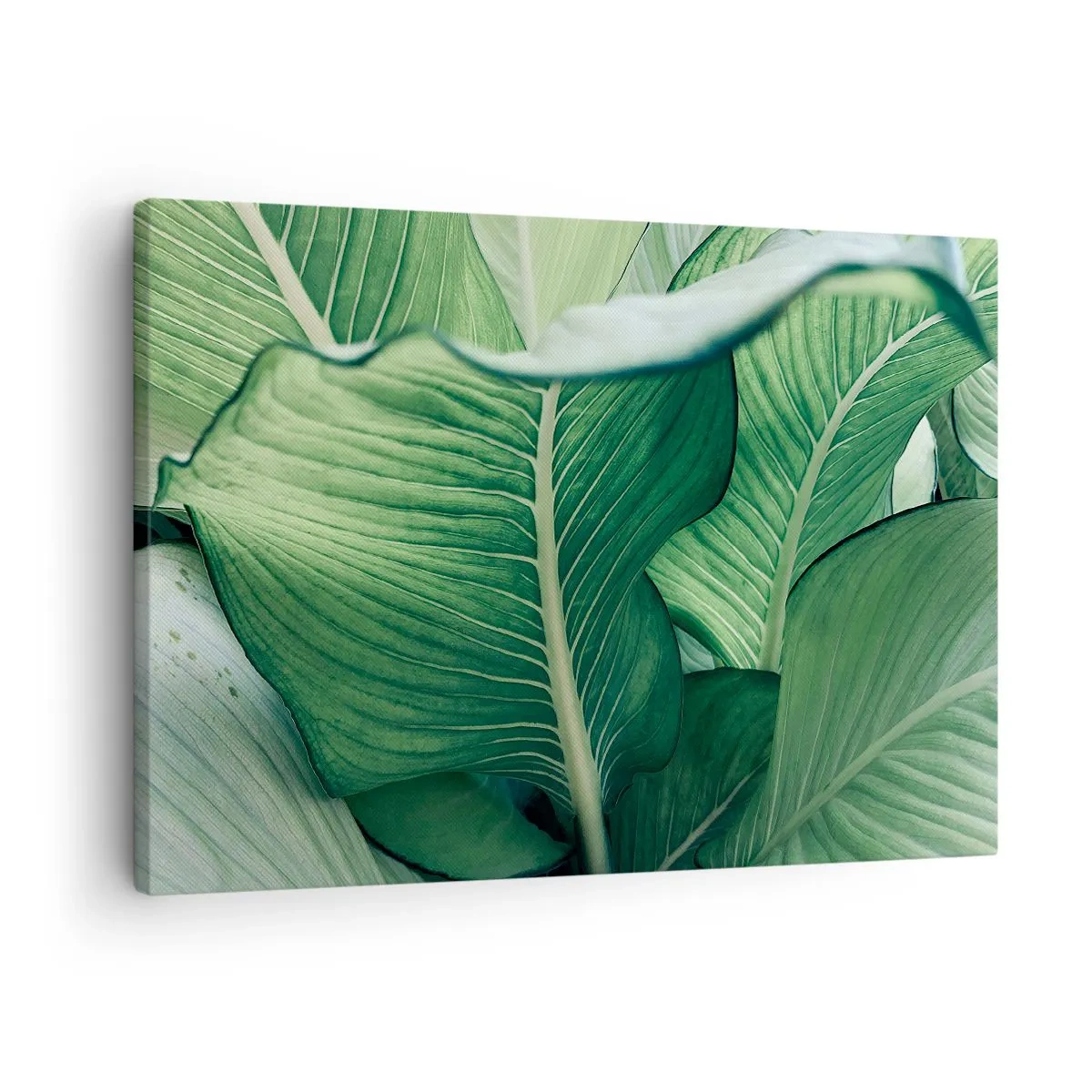 Lærredstryk - Billede på lærred - Grønne blade med udtryksfulde detaljer og struktur - 70x50cm - Livet er intenst grønt - Moderne vægdekoration til stue og soveværelse ARTTOR