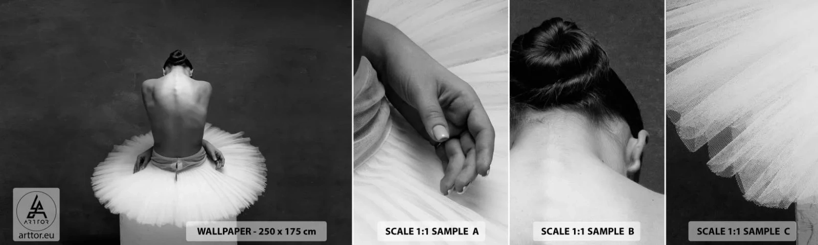 Fototapet Prøve Standard Eco - Blomstrer nu - Ballerina, Dans, Ballet - 100x30 cm