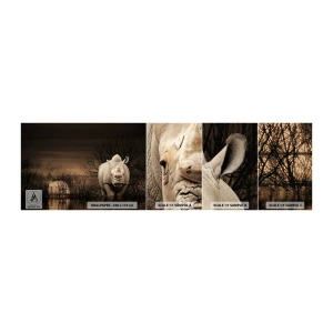 Prøve Fototapet Selvklæbende Deluxe Sticker - Hvidt mod naturen - Næsehorn, Dyr, Afrika - 100x30 cm
