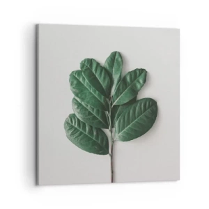 Lærredstryk - Billede på lærred - Tegning af selve naturen - 50x50 cm