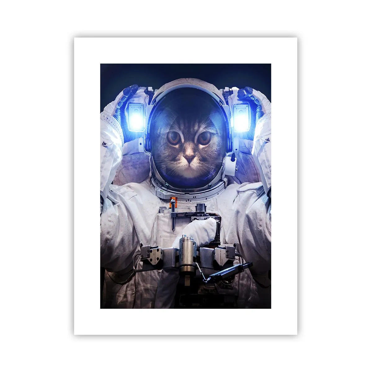 Plakat - Houston, I har et problem - 30x40 cm