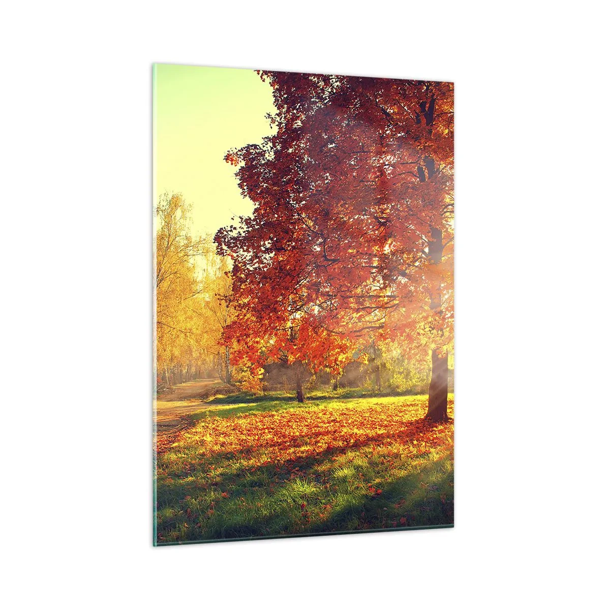 Billede på glas - Rød er smuk - 50x70 cm