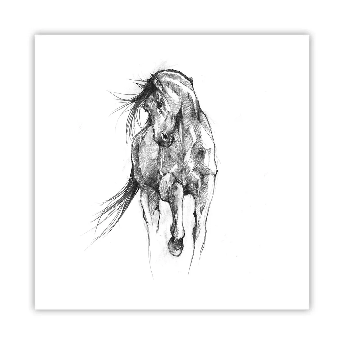 Plakat - I en yndefuld trav - 60x60 cm