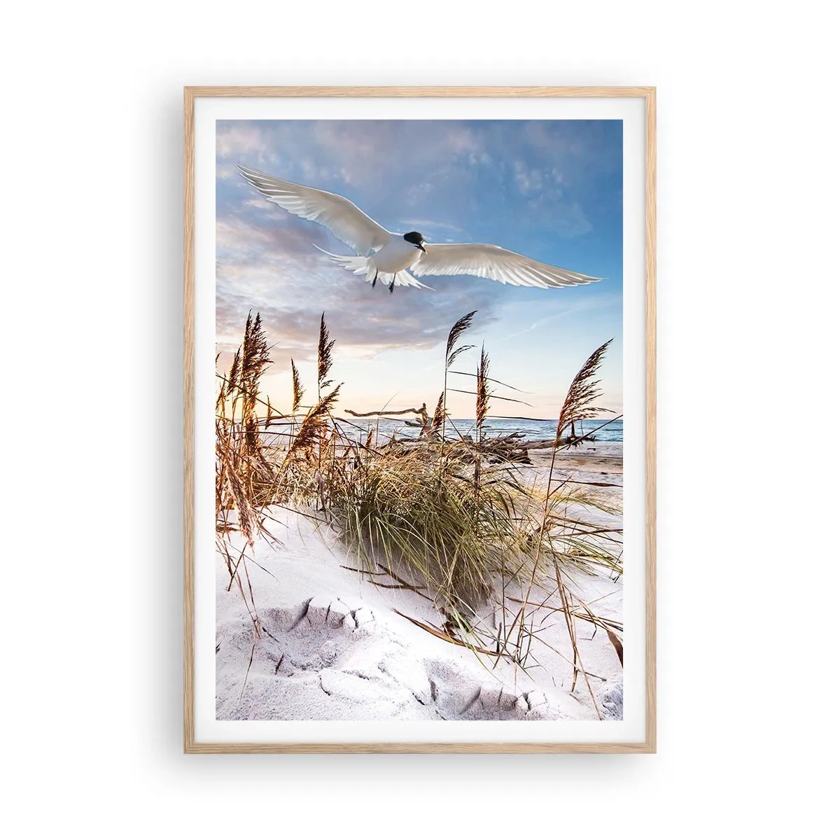 Plakat i ramme af lyst egetræ - Vind fra havet - 70x100 cm