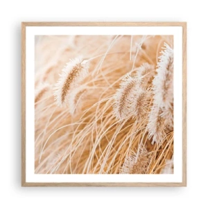 Plakat i ramme af lyst egetræ - Gyldent susen af græsser - 60x60 cm