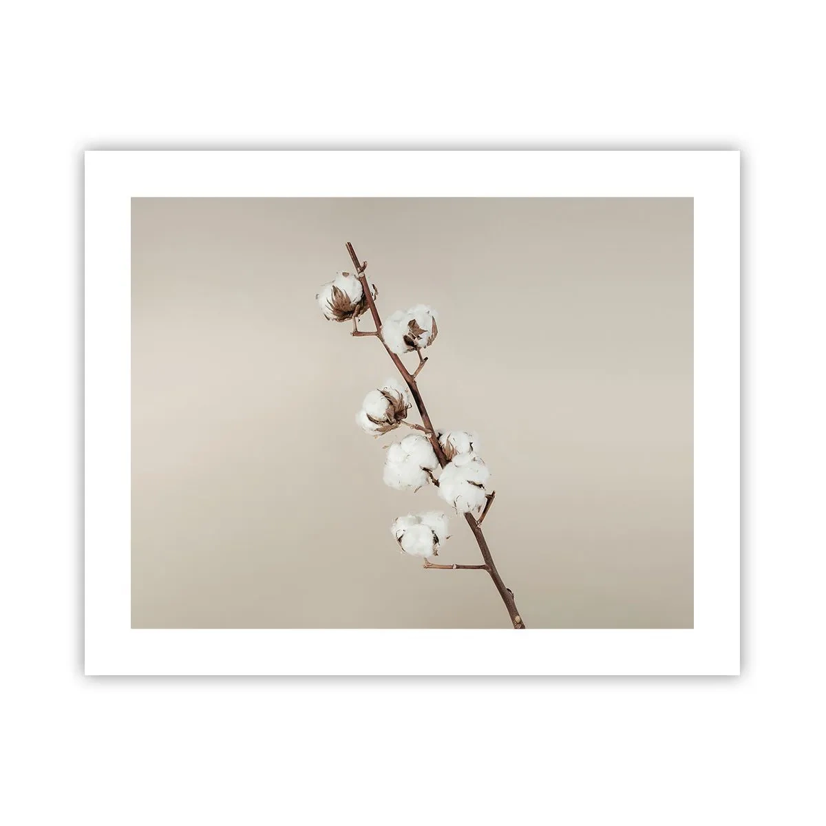 Plakat - Ved kilden til blødhed - 50x40 cm