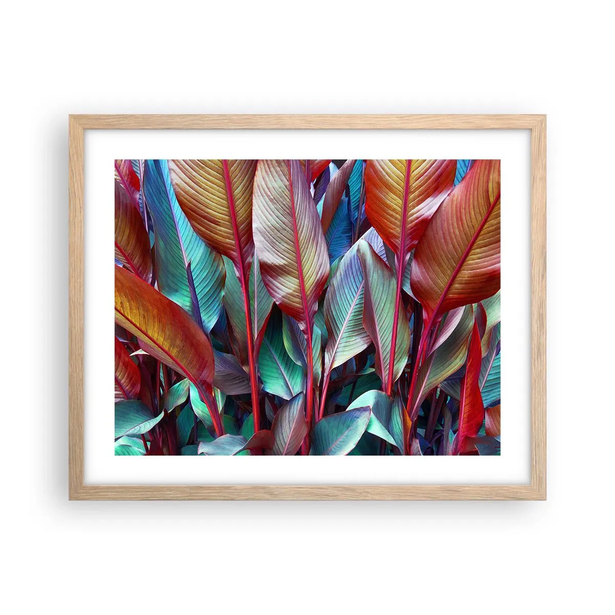 Plakat i ramme af lyst egetræ - Farverigt krat - 50x40 cm