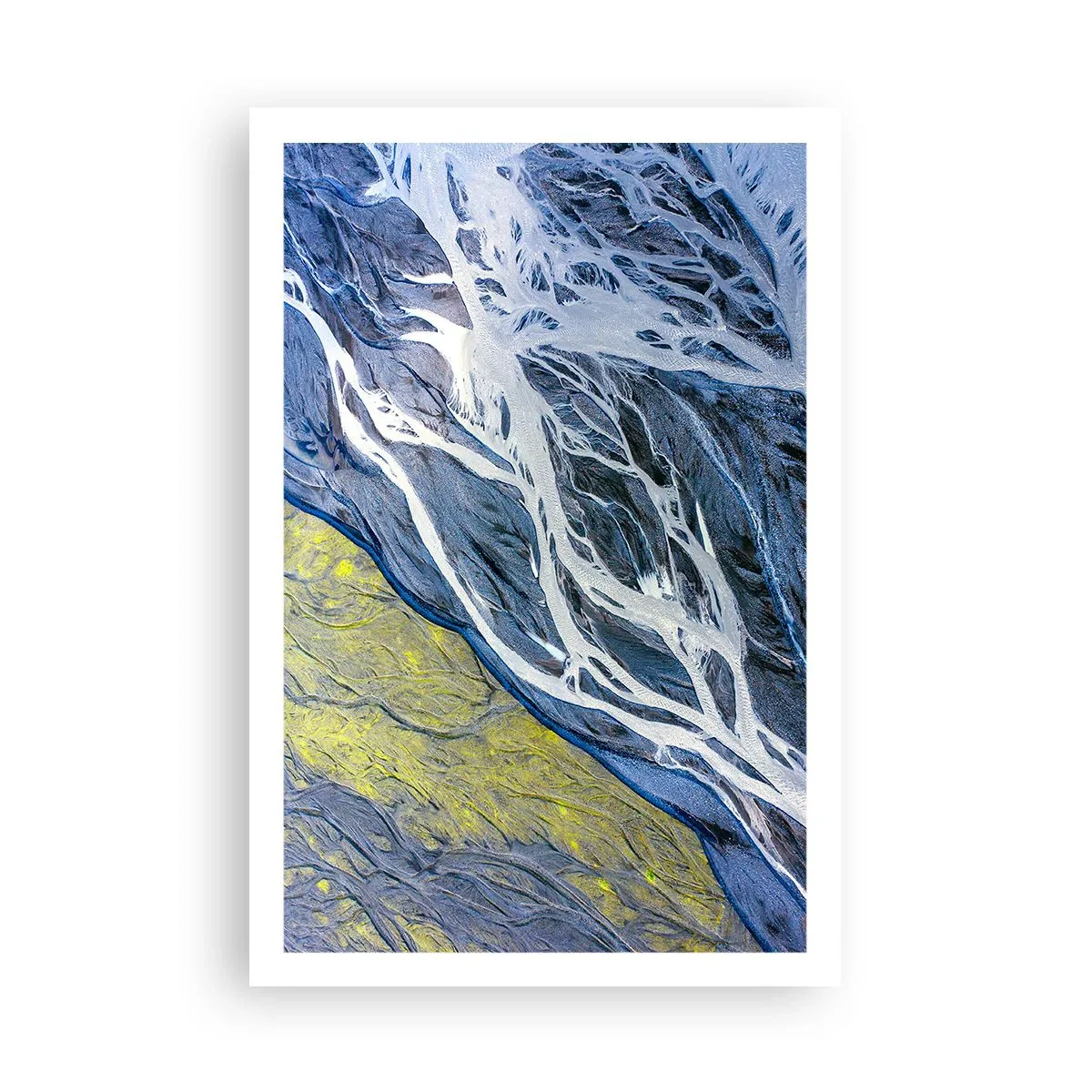 Plakat - Naturens hulemalerier - 61x91 cm