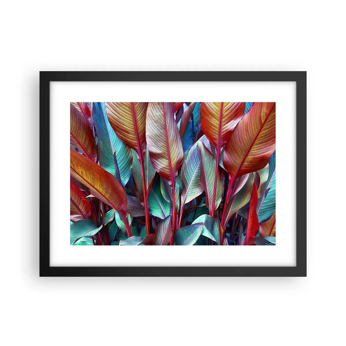 Plakat i sort ramme - Farverigt krat - 40x30 cm