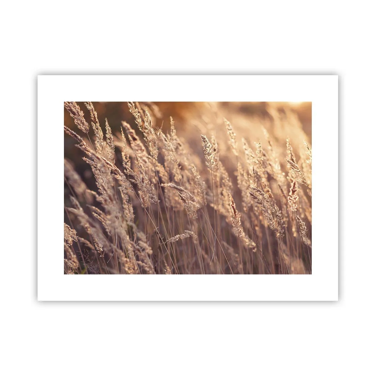 Plakat - Klar til at byde efteråret velkommen - 40x30 cm