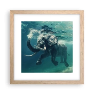 Plakat i ramme af lyst egetræ - Alle kan lide at svømme - 30x30 cm