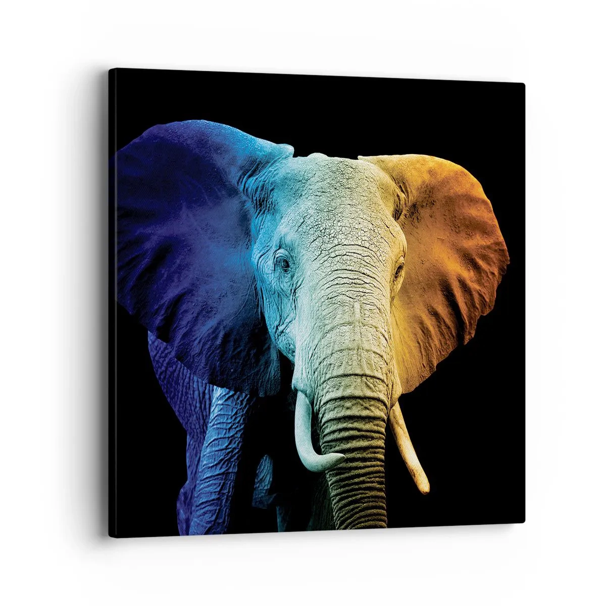 Lærredstryk - Billede på lærred - Excentrisk, ikke underlig - 40x40 cm