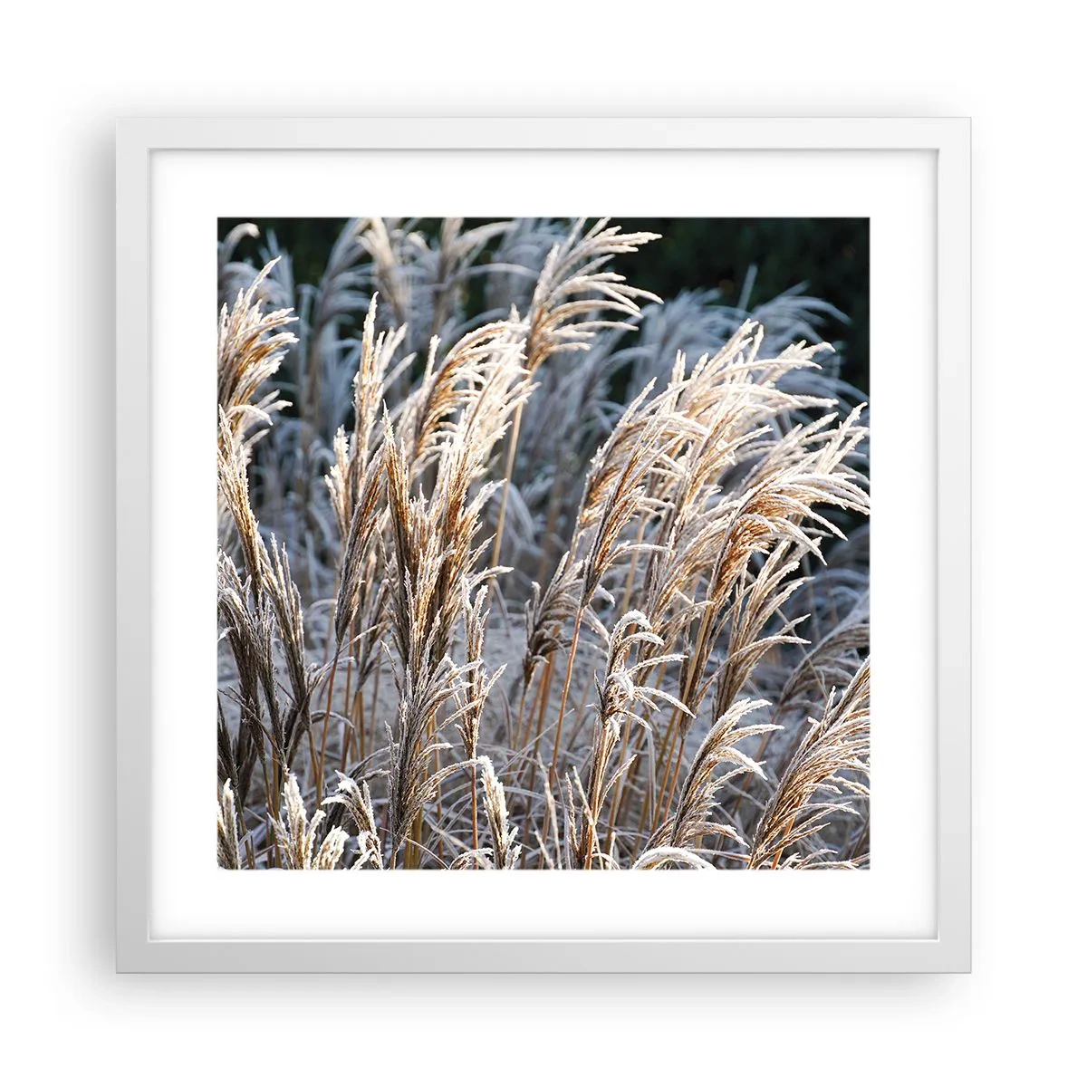 Plakat i hvid ramme - Pyntet med frost - 40x40 cm