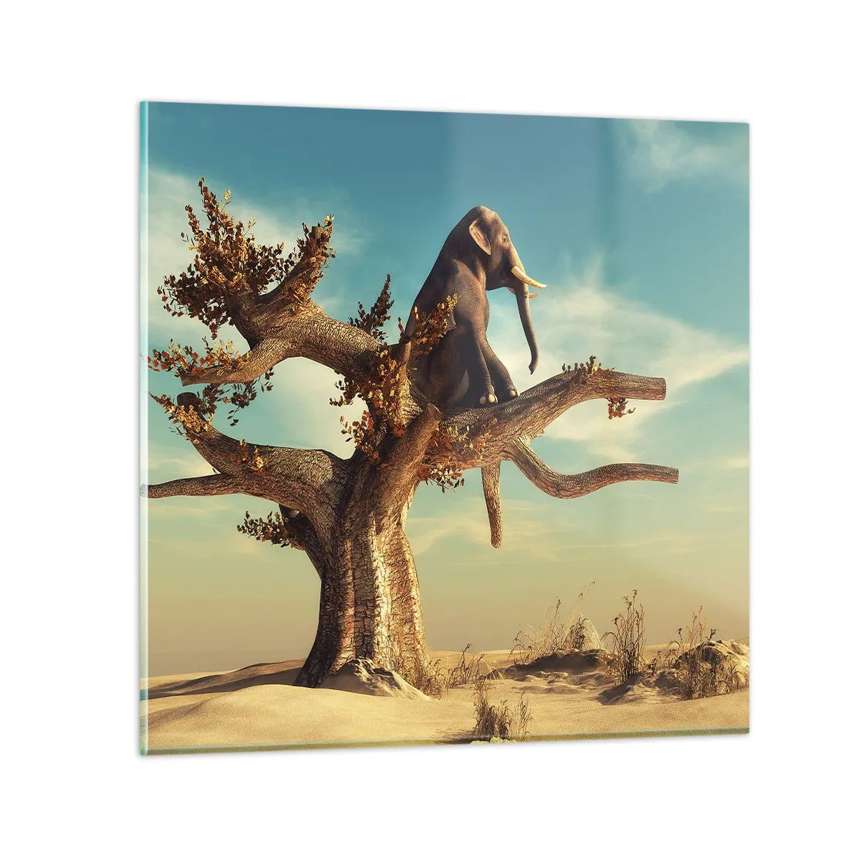 Billede på glas - Et nyt synspunkt - 70x70 cm