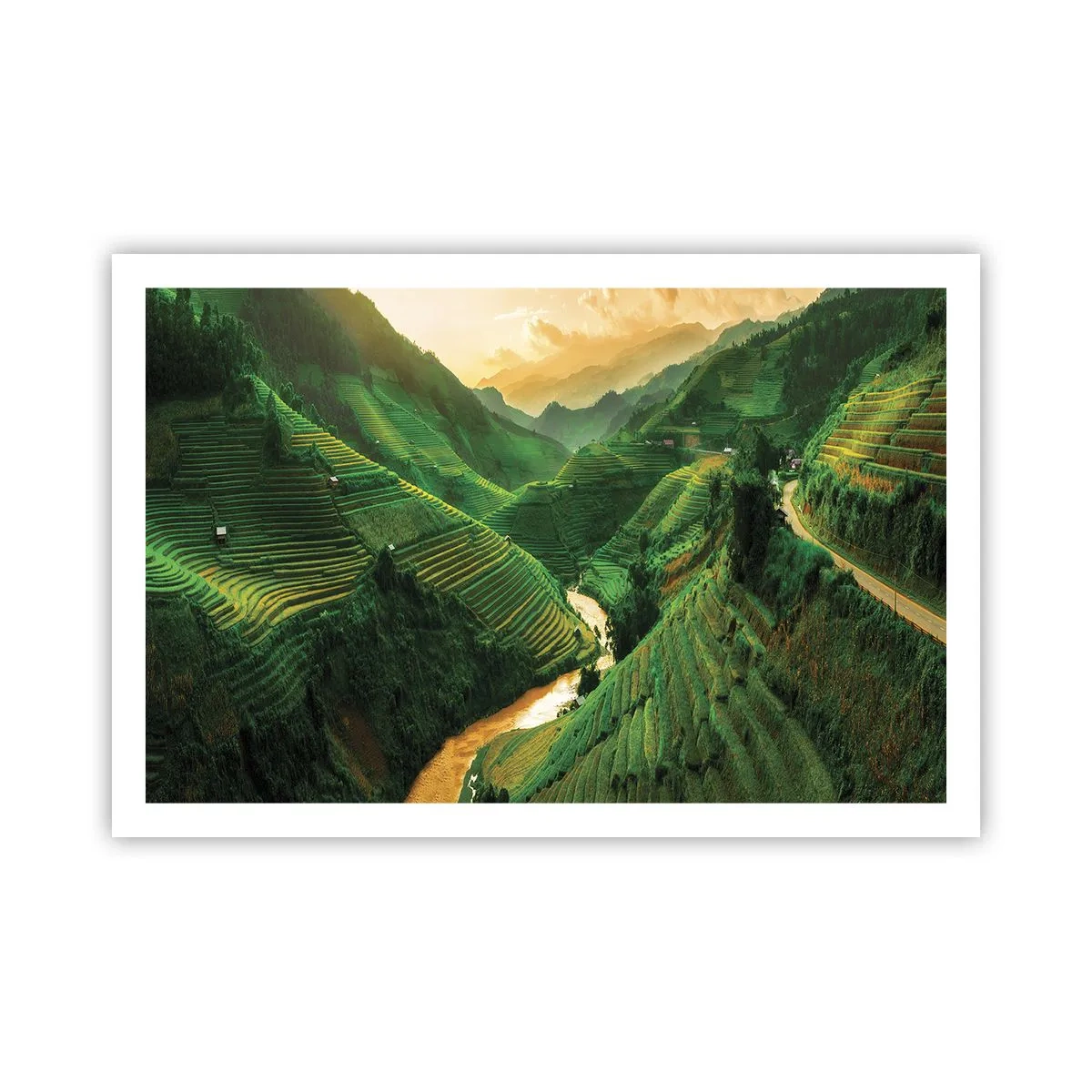 Plakat - Vietnamesisk dal - 91x61 cm