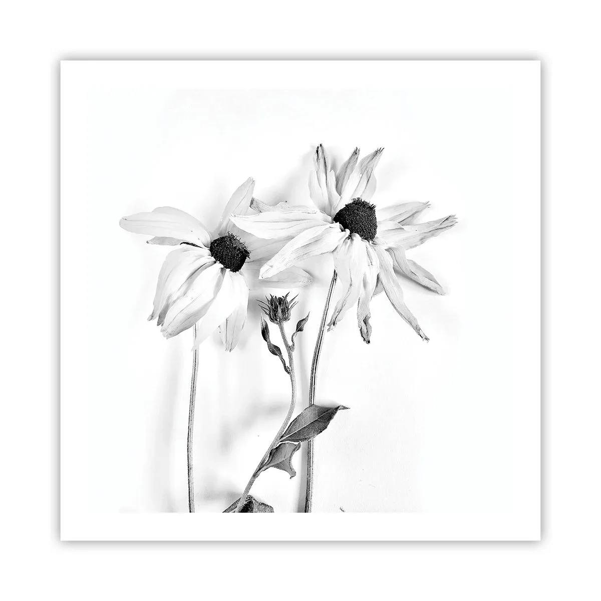 Plakat - Ingen ønsker at være alene - 60x60 cm