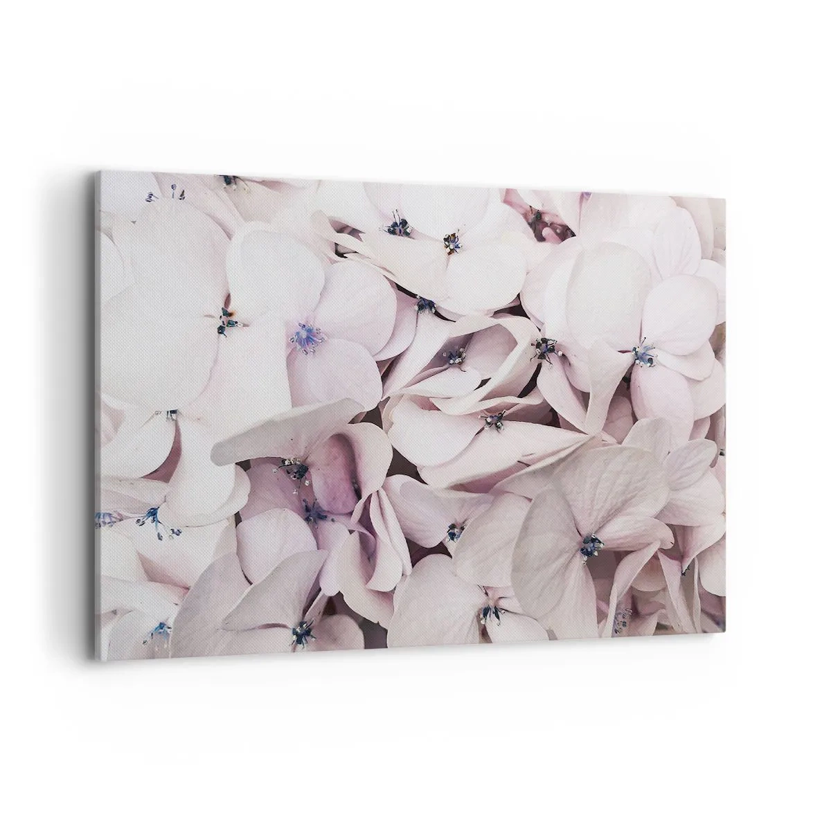 Lærredstryk - Billede på lærred - I en flod af blomster - 120x80 cm