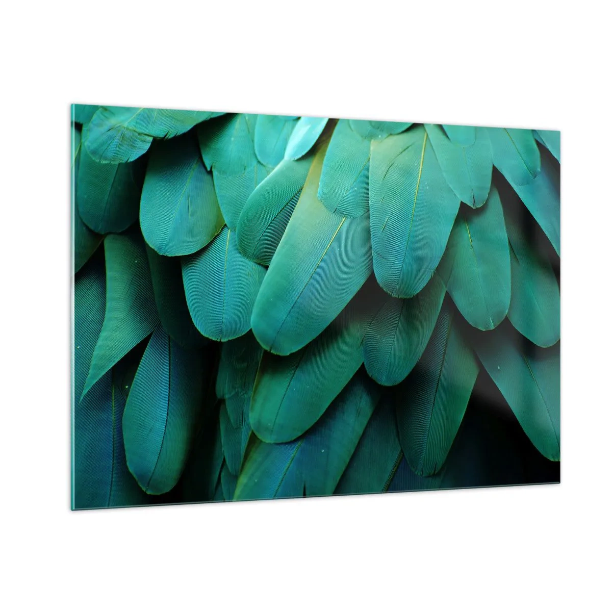 Billede på glas - Papegøjenaturens præcision - 100x70 cm