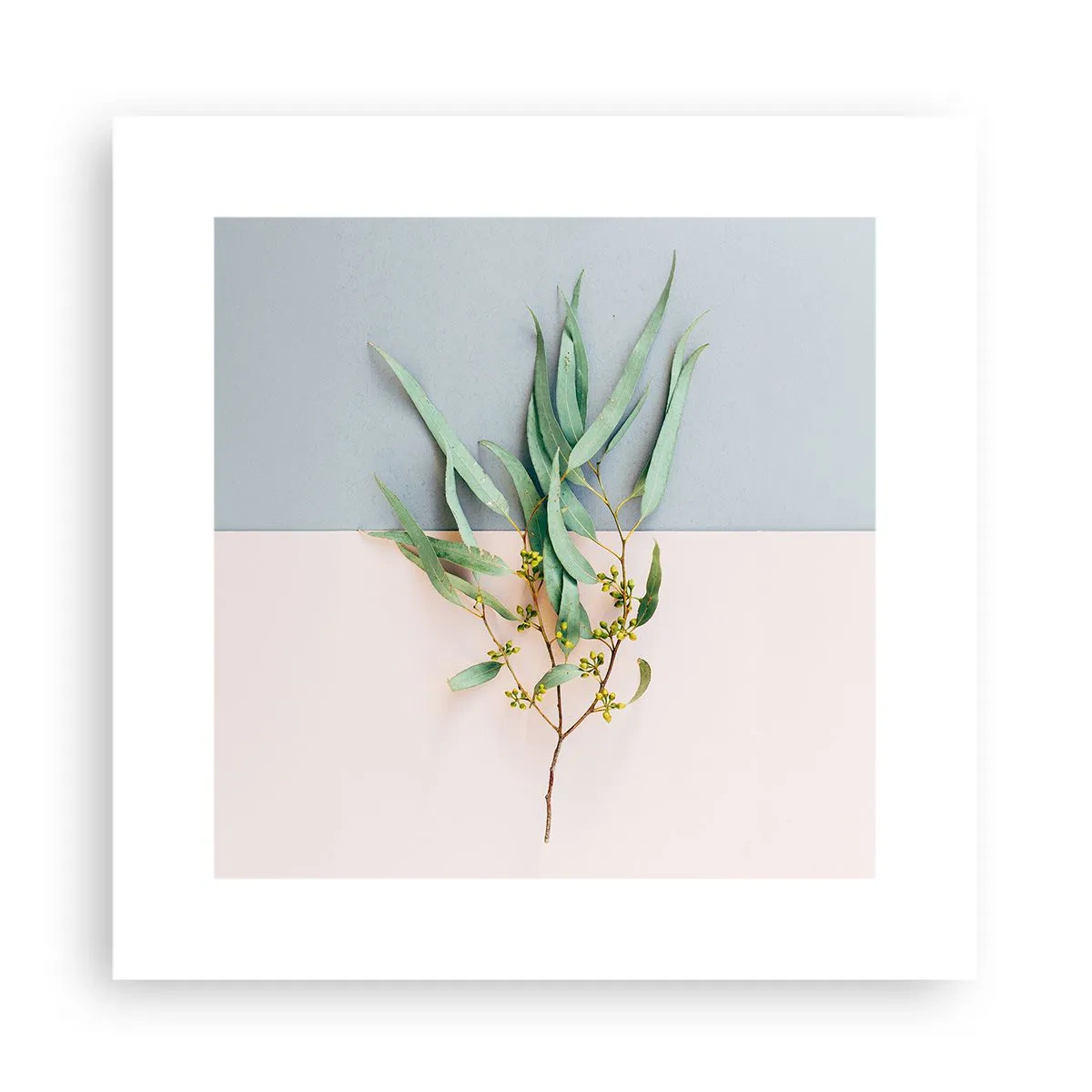 Plakat - Pastelfarvernes subtilitet - 30x30 cm