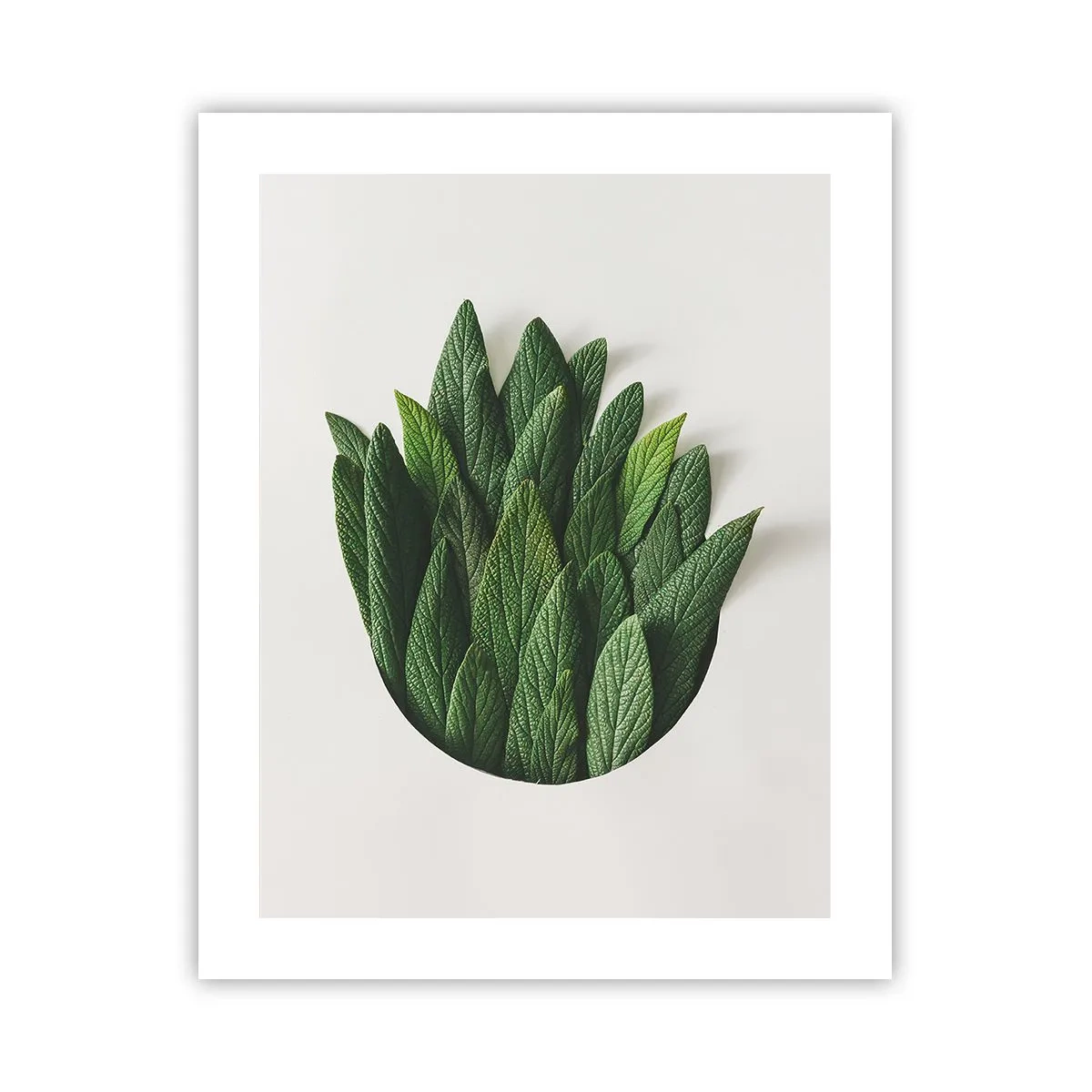 Plakat - Uhæmmet nysgerrighed - 40x50 cm