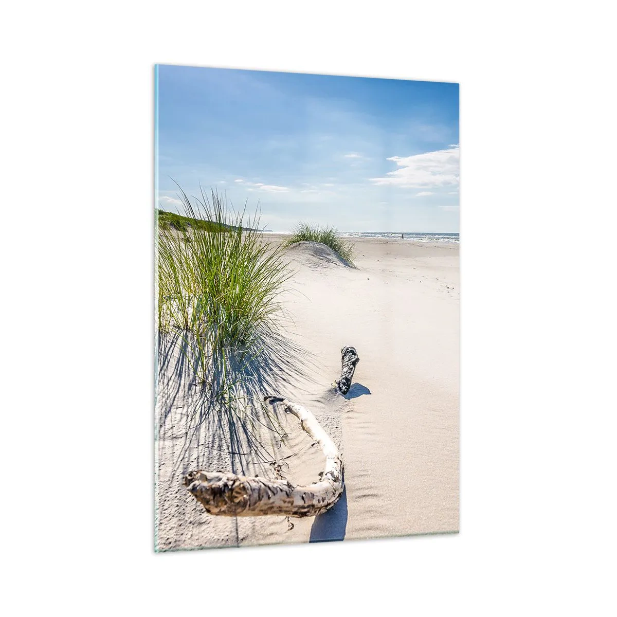 Billede på glas - Den smukkeste? Baltisk - 50x70 cm