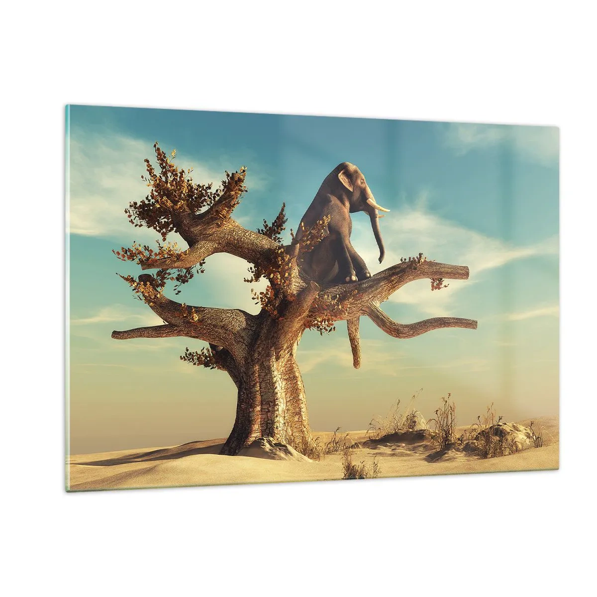 Billede på glas - Et nyt synspunkt - 120x80 cm