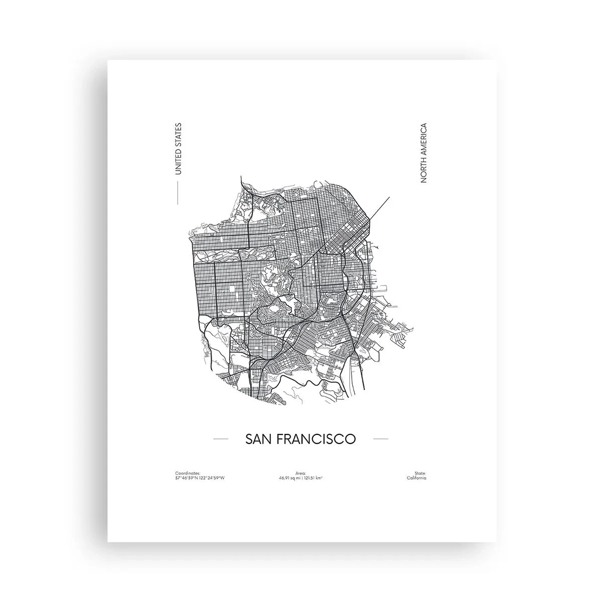 Plakat - San Franciscos anatomi - 40x50 cm
