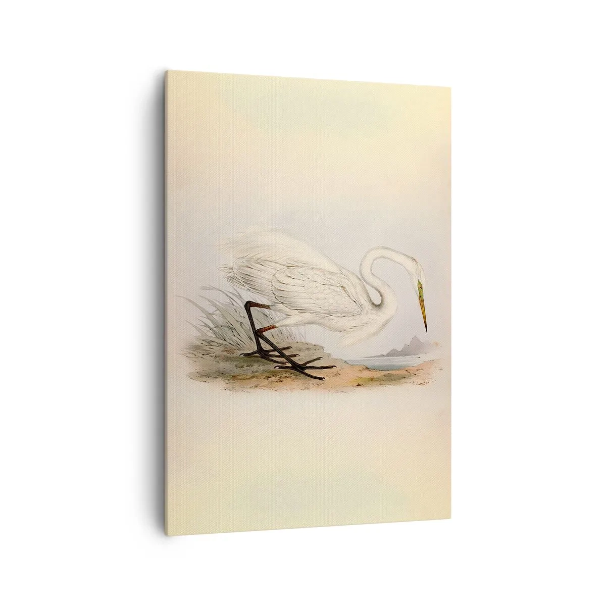 Lærredstryk - Billede på lærred - Dame på sivene - 70x100 cm