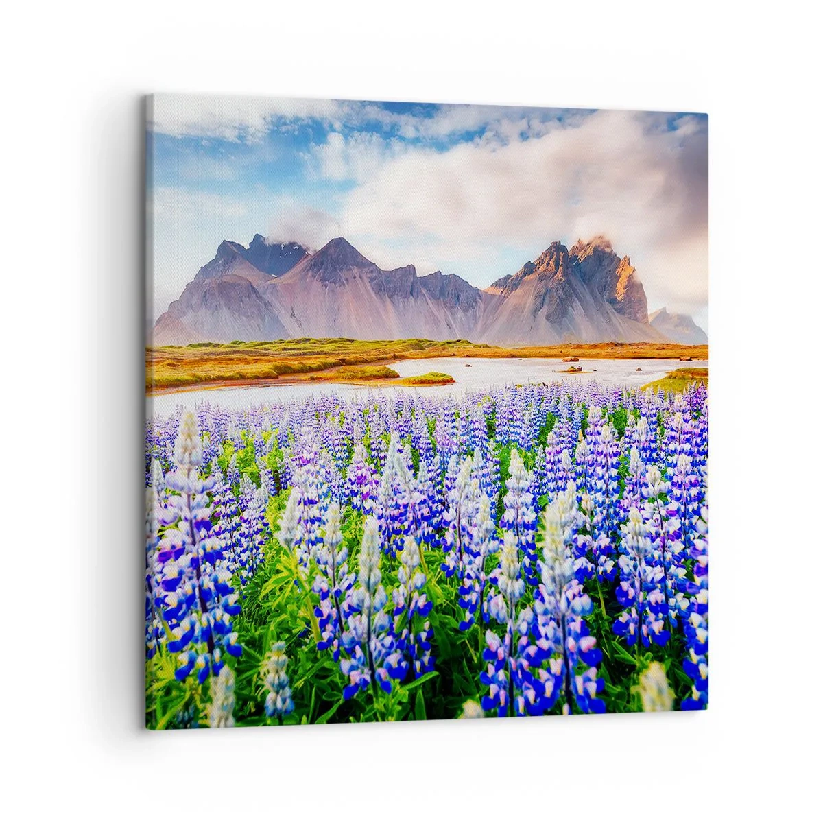 Lærredstryk - Billede på lærred - Styrke og strenghed ved siden af blidhed - 50x50 cm