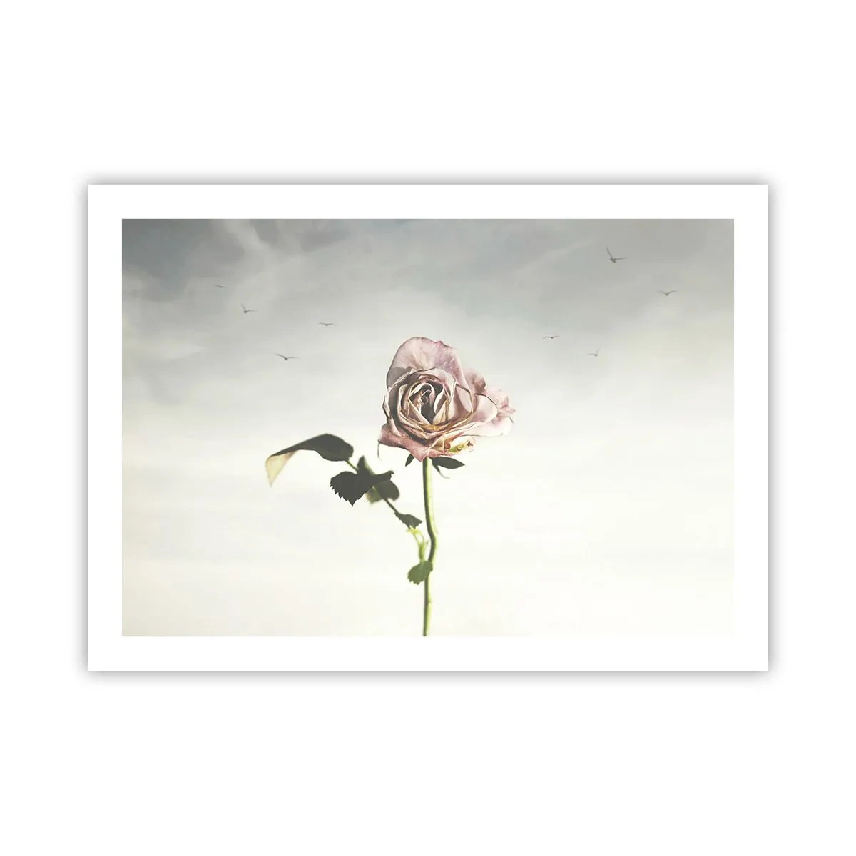 Plakat - Velkomst til foråret - 70x50 cm