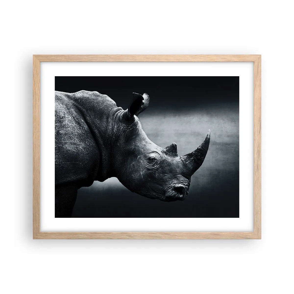 Plakat i ramme af lyst egetræ - Højre profil - 50x40 cm