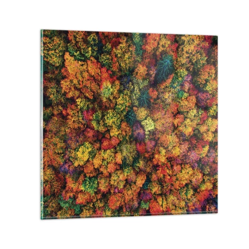 Billede på glas - Buket af efterårstræer - 70x70 cm