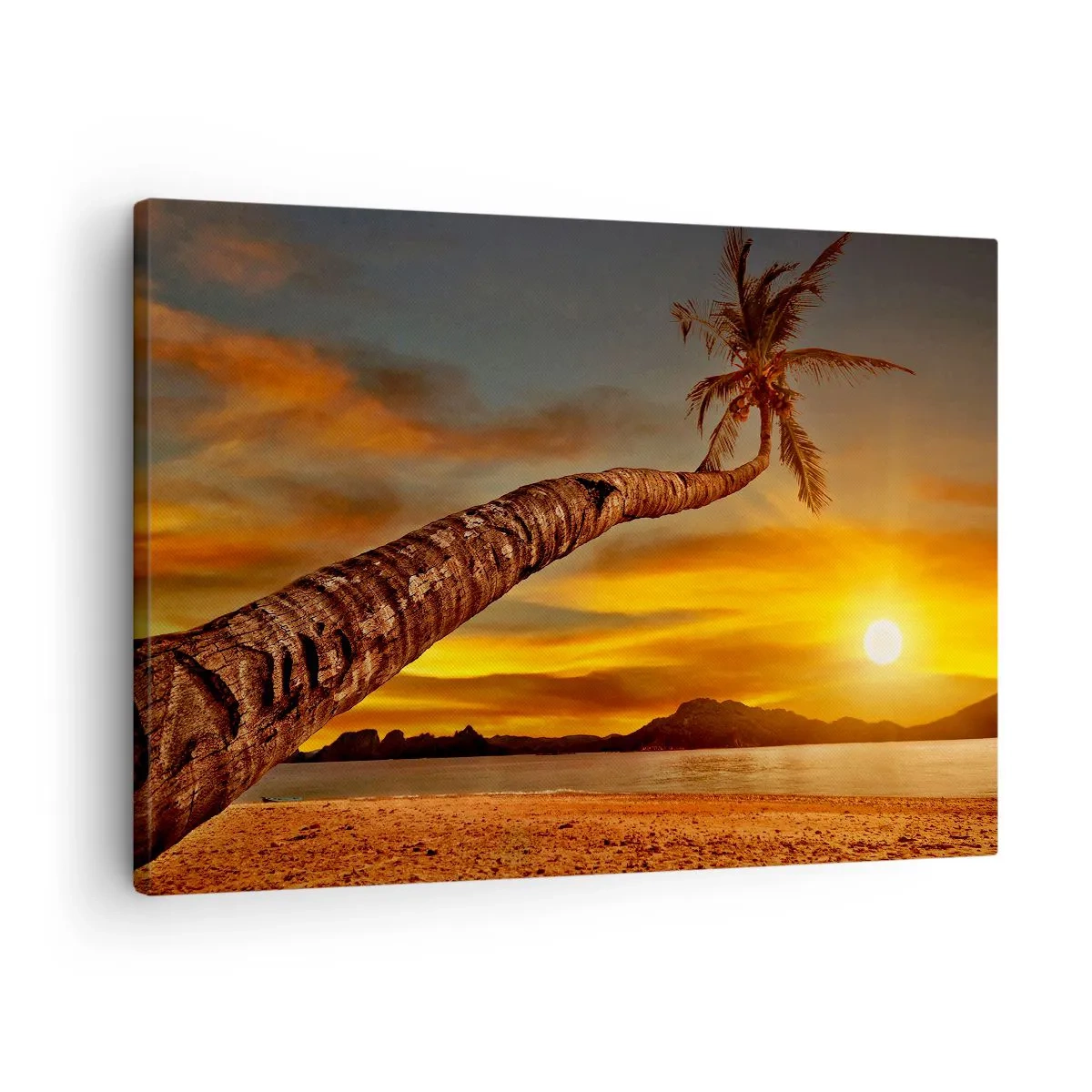 Lærredstryk - Billede på lærred - Palme på stranden ved solnedgang med udsigt over havet - 70x50cm - Eksotisk ferie, eventyr i Caribien - Moderne vægdekoration til stue og soveværelse ARTTOR