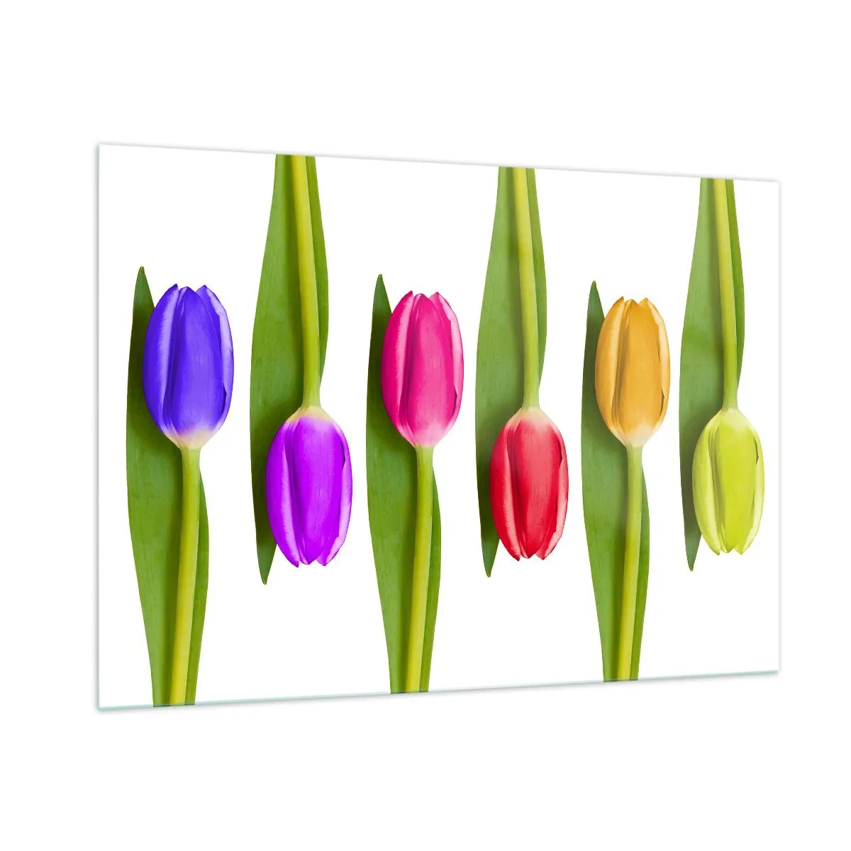 Billede på glas - Regnbuesammensætning - 100x70 cm