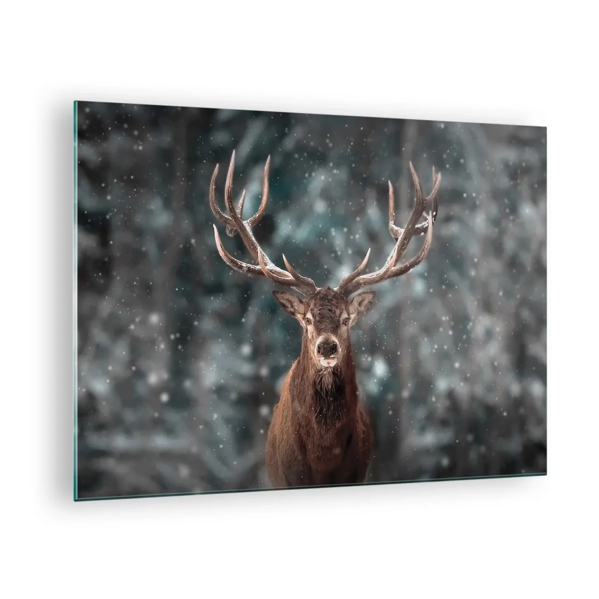Billede på glas - En stolt hjort i en vinterskov midt i faldende sne - 70x50cm - Skovens konge kronet - Moderne vægdekoration til stue og soveværelse ARTTOR