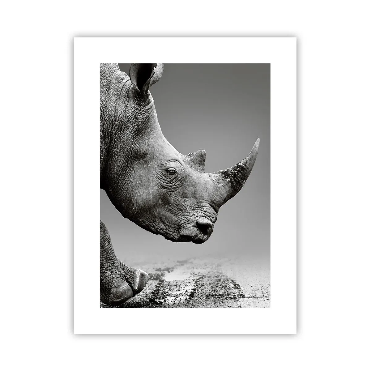 Plakat - En ustoppeli - 30x40 cm