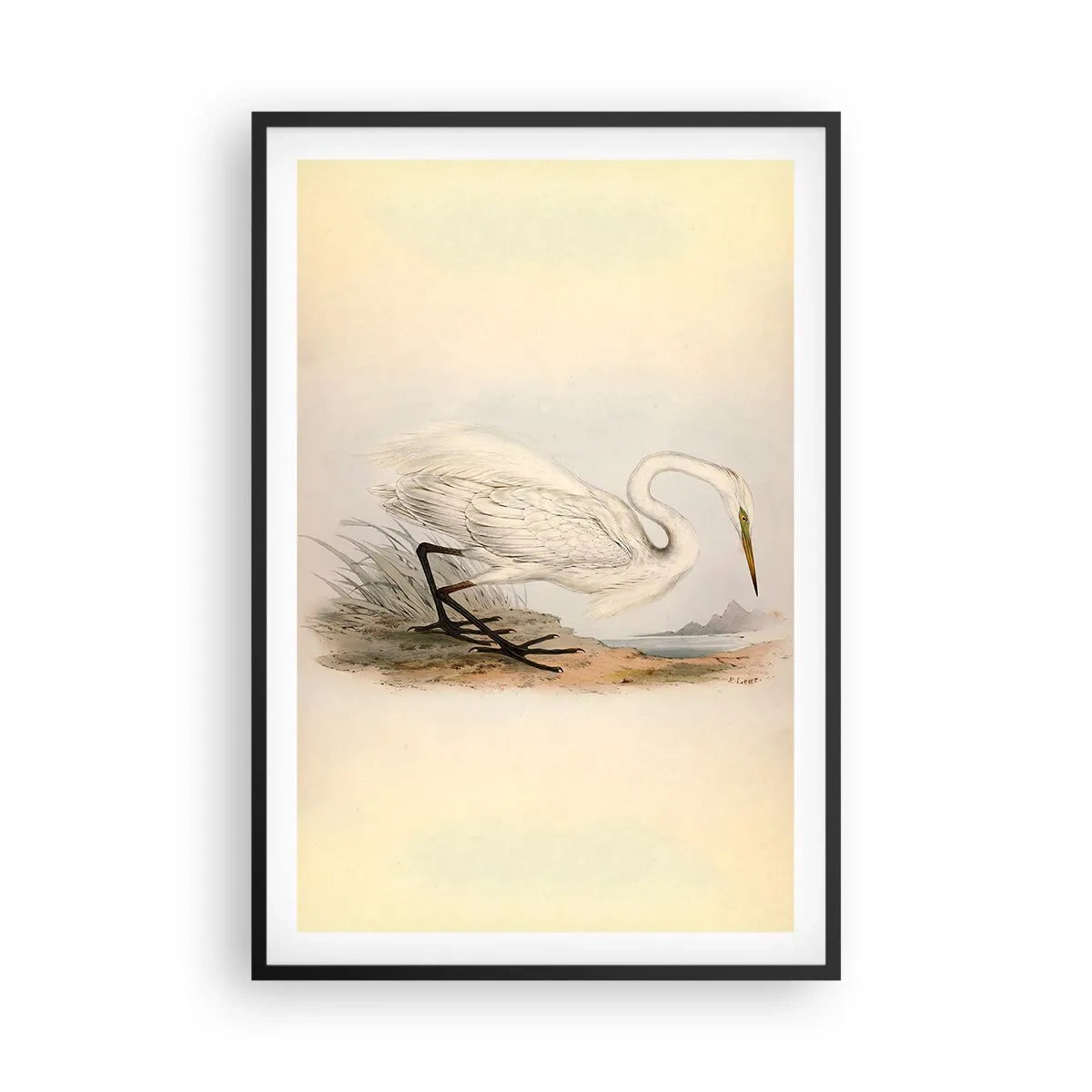 Plakat i sort ramme - Dame på sivene - 61x91 cm