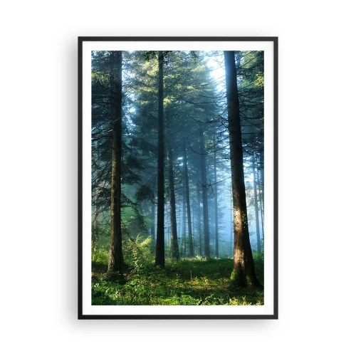 Plakat i sort ramme - Strålende om morgenen - 70x100 cm