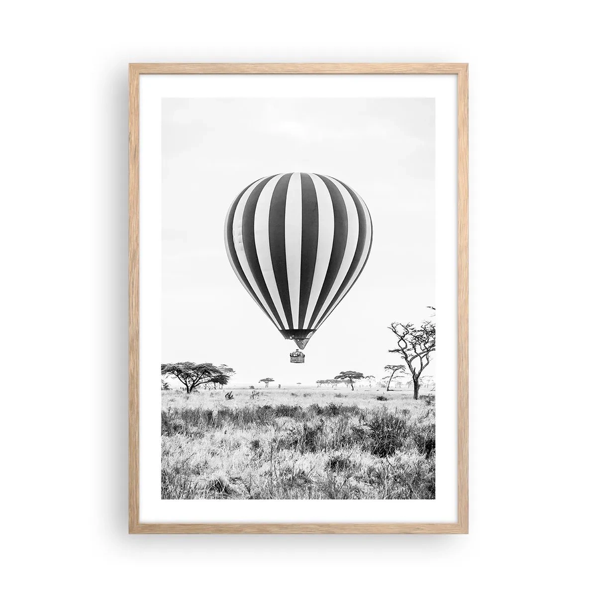 Plakat i ramme af lyst egetræ - Over savannen - 50x70 cm