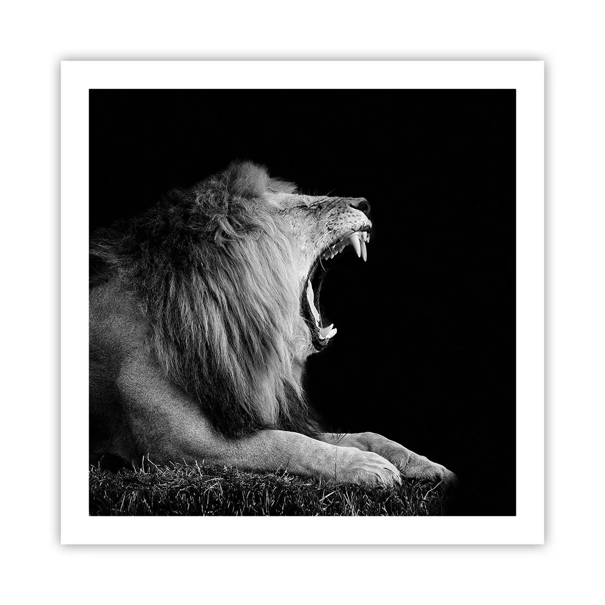 Plakat - Uden tvivl - 60x60 cm