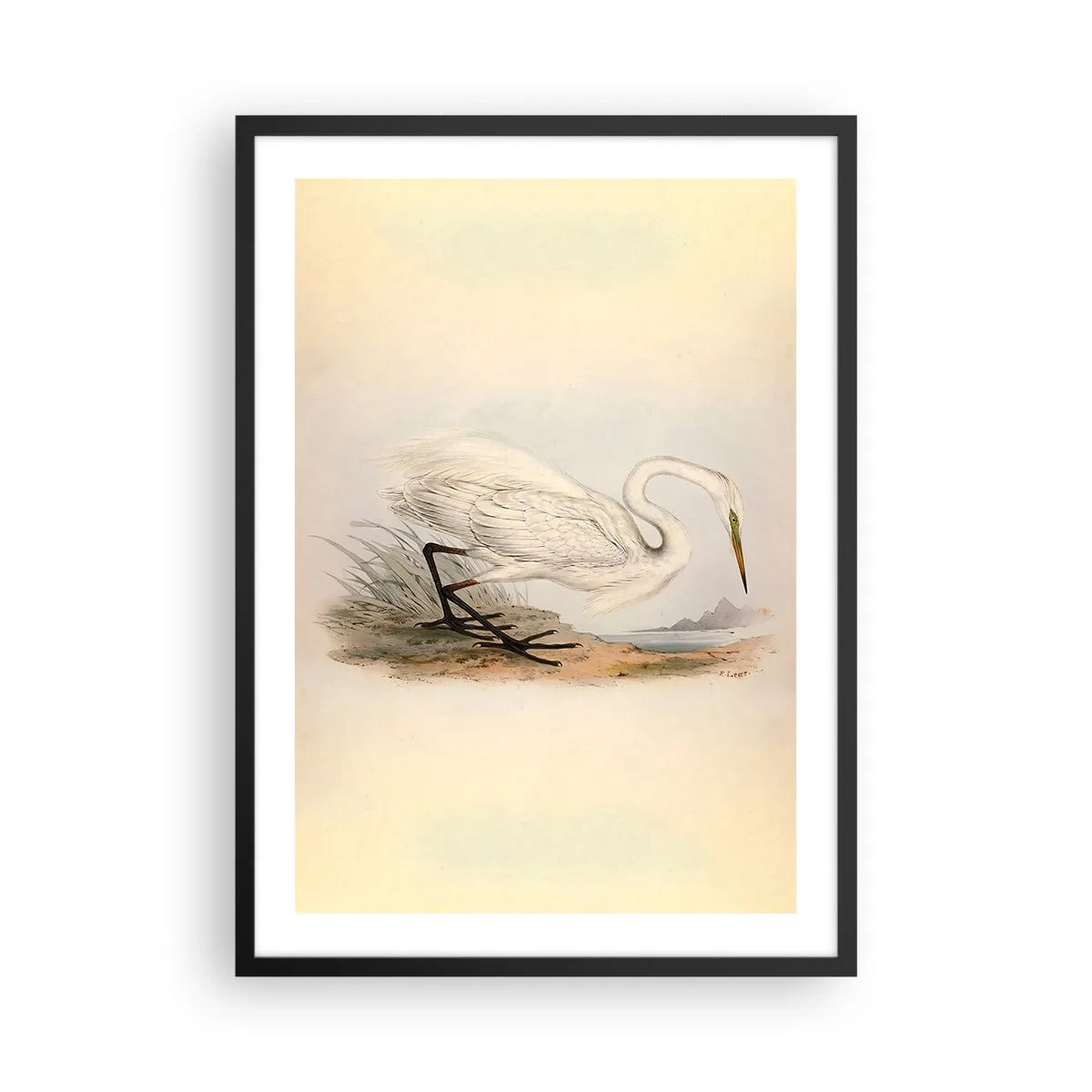 Plakat i sort ramme - Illustration af en hejre mod en pastelfarvet landskabsbaggrund - 50x70cm - Dame på sivene - Moderne vægdekoration til stue og soveværelse ARTTOR